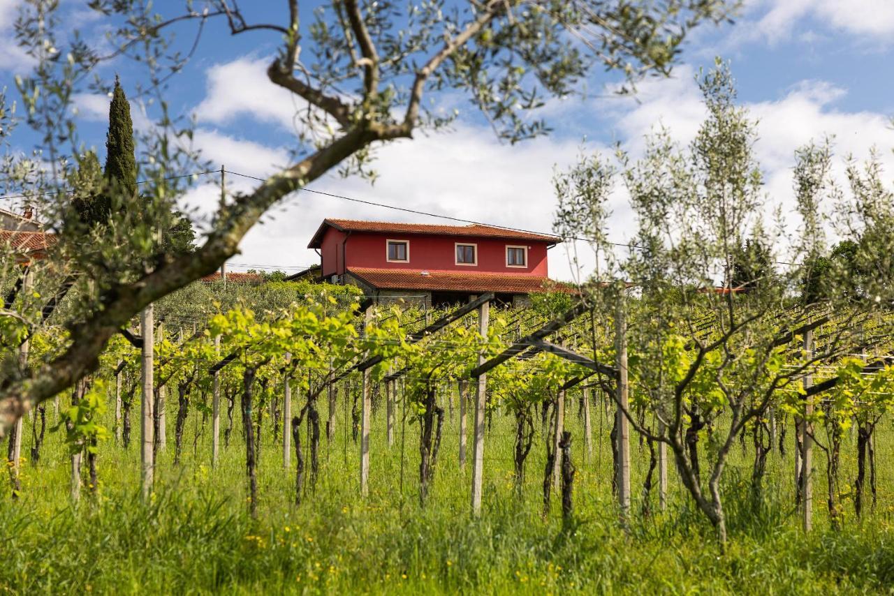 Touristfarm - Apartments "Red Fairytale" Marezige Dış mekan fotoğraf