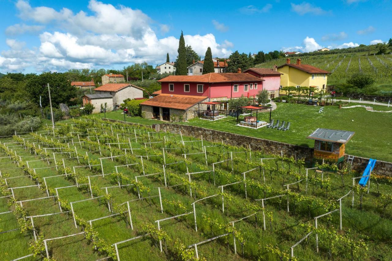 Touristfarm - Apartments "Red Fairytale" Marezige Dış mekan fotoğraf