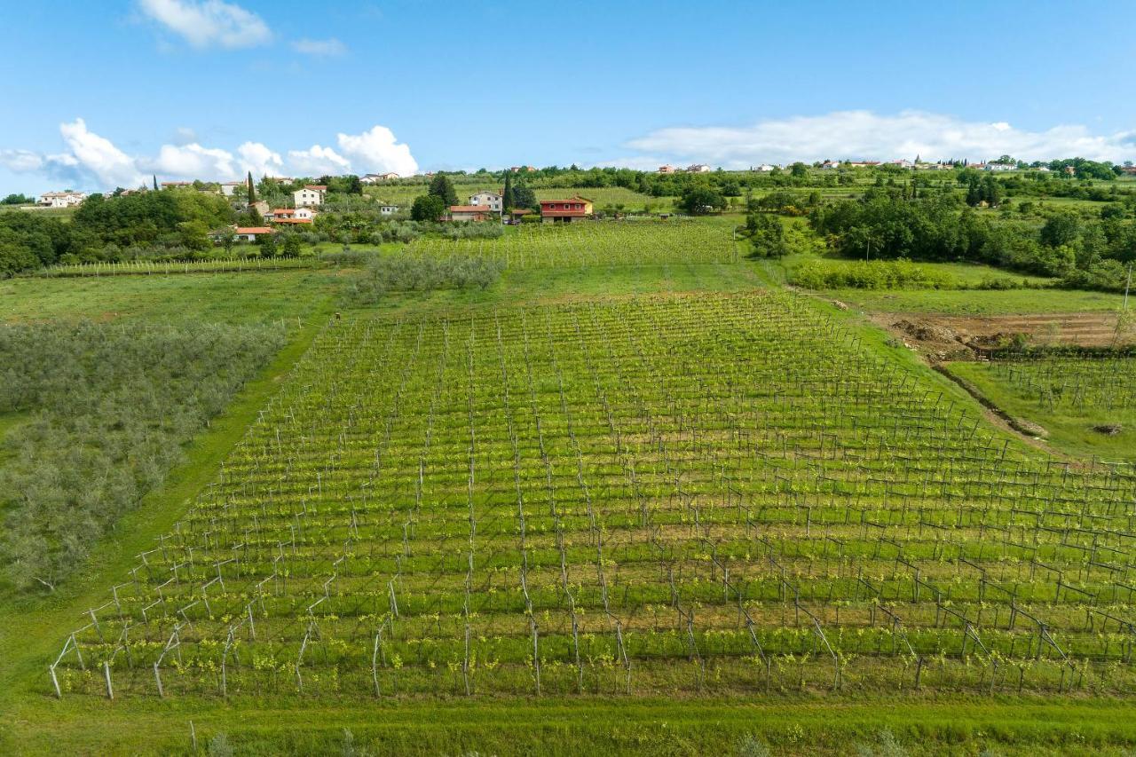Touristfarm - Apartments "Red Fairytale" Marezige Dış mekan fotoğraf