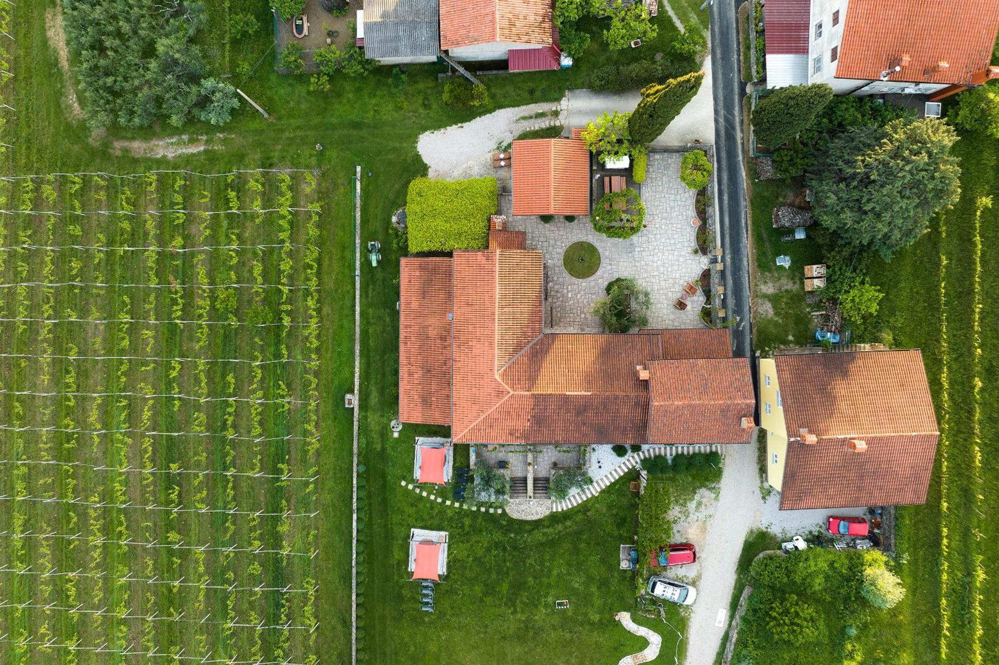Touristfarm - Apartments "Red Fairytale" Marezige Dış mekan fotoğraf